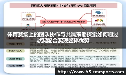 体育赛场上的团队协作与共赢策略探索如何通过默契配合实现整体优势